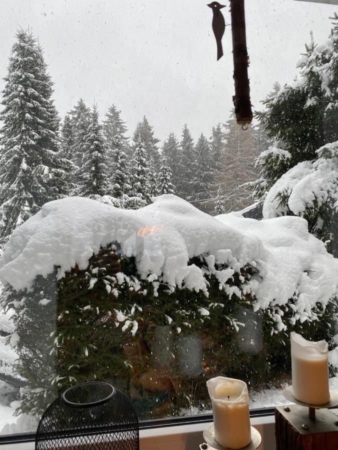 Schoenwald Waldchalet Am Musenberg Stryck Zewnętrze zdjęcie