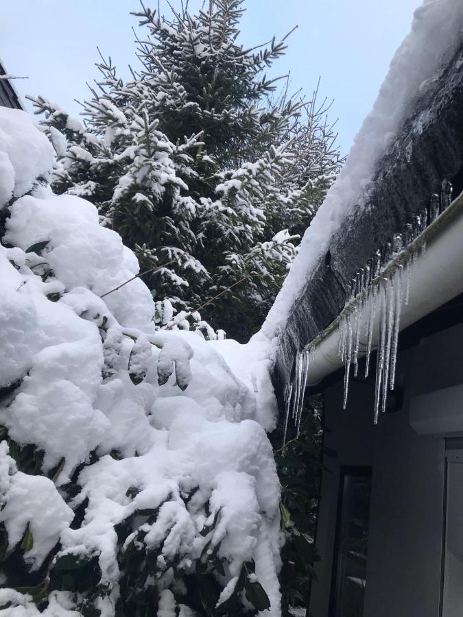Schoenwald Waldchalet Am Musenberg Stryck Zewnętrze zdjęcie