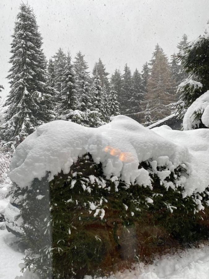 Schoenwald Waldchalet Am Musenberg Stryck Zewnętrze zdjęcie