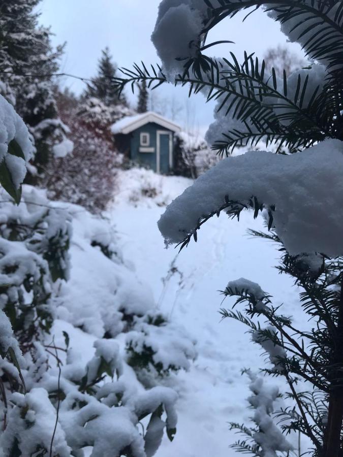 Schoenwald Waldchalet Am Musenberg Stryck Zewnętrze zdjęcie