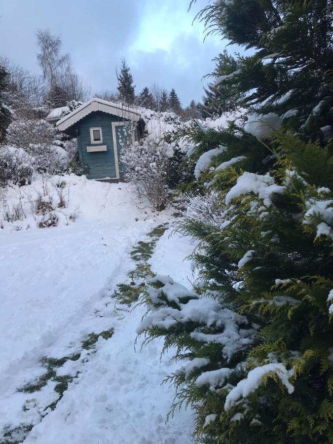 Schoenwald Waldchalet Am Musenberg Stryck Zewnętrze zdjęcie