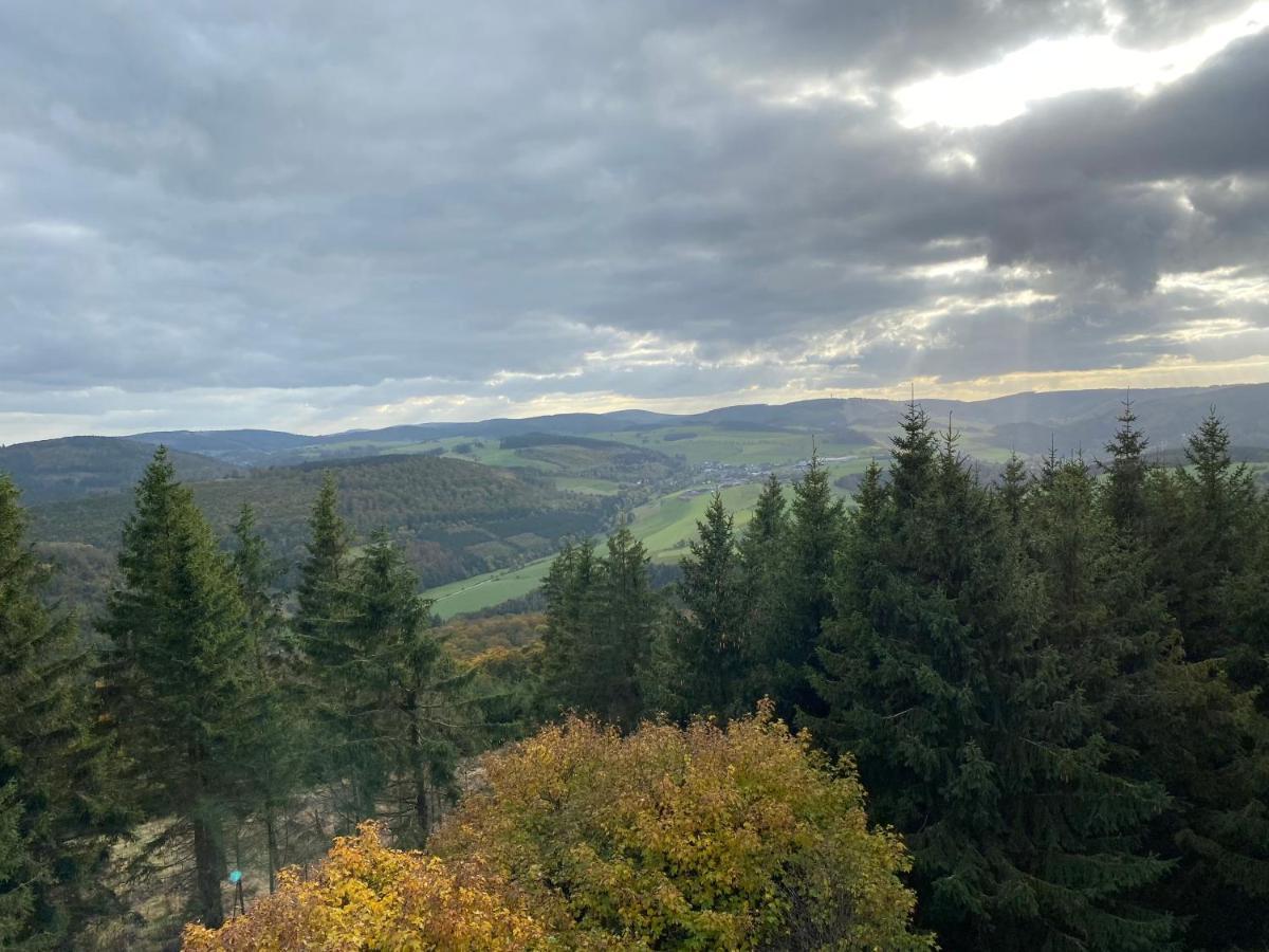 Schoenwald Waldchalet Am Musenberg Stryck Zewnętrze zdjęcie